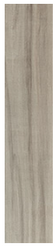 Mariner Axis Maple